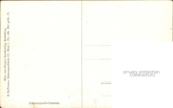 Hoffmann Heinrich Schwarzwald-Tannen – Bild 2