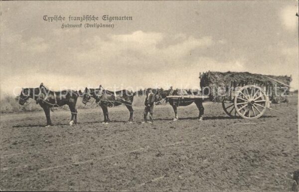 Landwirtschaft Fuhrwerk Dreispänner Frankreich Kriegsk