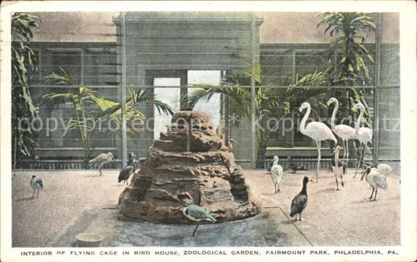 Flamingo Philadelphia Zoological Garden Flying C