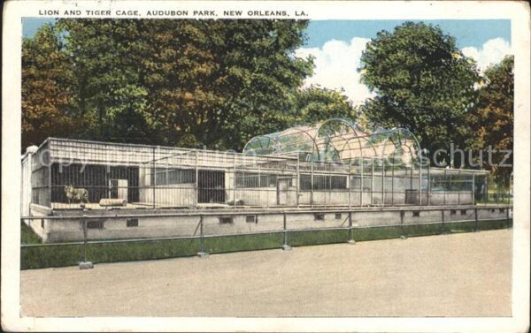Loewe Lion and Tiger Cage Audubon Park New Or