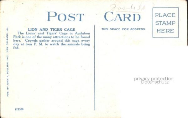Loewe Lion and Tiger Cage Audubon Park New Or – Bild 2