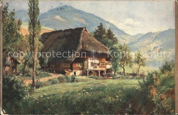 Hasemann W. Schwarzwald Bauernhaus