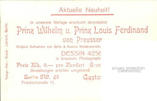 Adel Preussen Prinz Wilhelm Prinz Louis Ferdinand – Bild 2