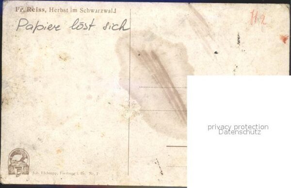 Reiss Fritz Herbst im Schwarzwald – Bild 2