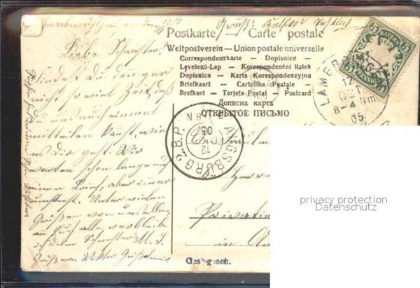 Blumen Veilchen Veilchenduft Litho – Bild 2