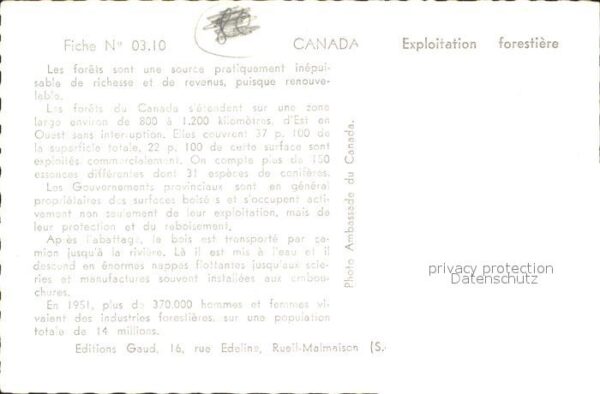 Canada State Flusspartie – Bild 2