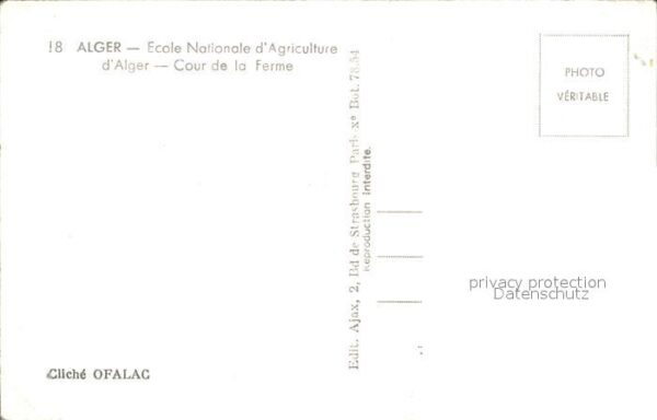 Alger Algerien Cour de la Ferme – Bild 2