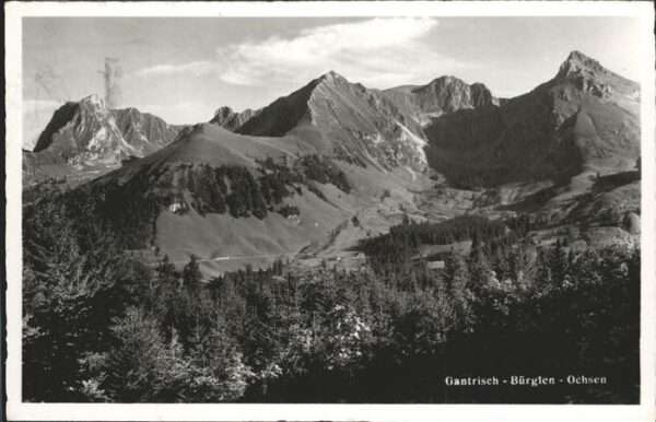 Gantrisch Bürglen Ochsen
