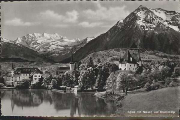 Spiez BE Niesen Blümlisalp