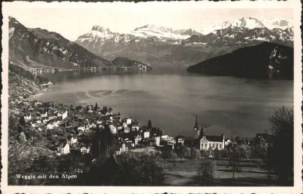 Weggis Vierwaldstaettersee Alpen