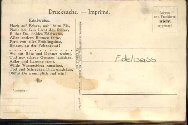Basel BS Münster Pfalz Rheindampfer Edelweiss – Bild 2