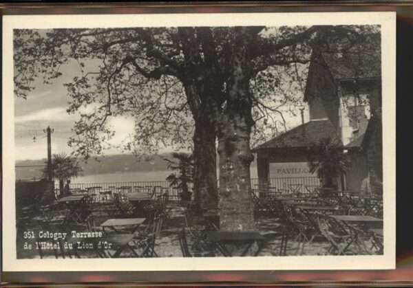 Cologny Terasse Hotel du Lion d Or