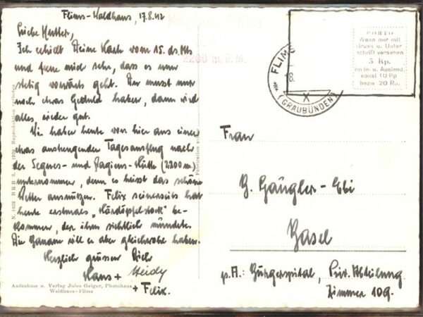 Tschingelhorn Segnespass Kühe – Bild 2