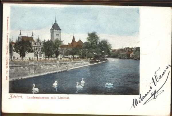 Zuerich Landesmuseum Limmat Schwäne
