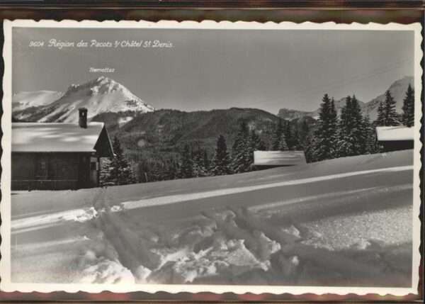 Chatel-St Denis Region de Pacots