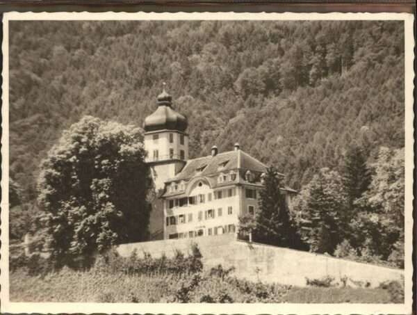 Balgach Schloss Grünenstein