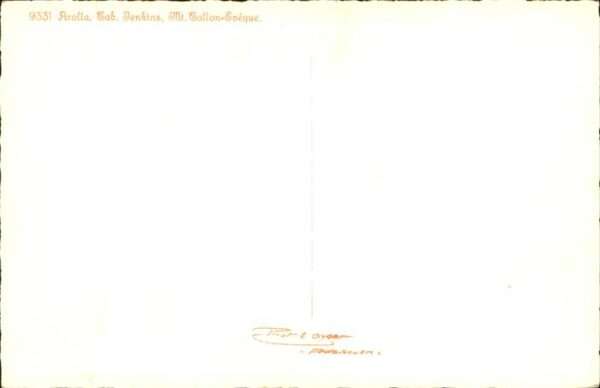 Arolla VS Cab Jenkins Mt. Cotton-Eveque – Bild 2