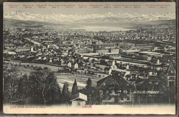 Zuerich Stadt See Alpen