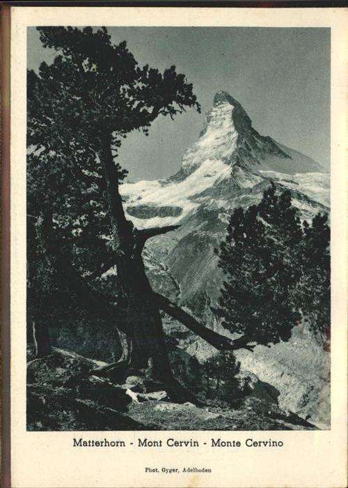 Matterhorn VS Urschweizerisches Hochhaus bei Wolfensc