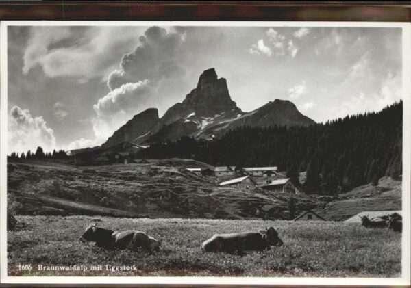Braunwald GL Eggstock Kühe