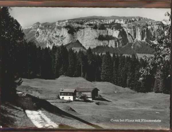 Flims Dorf Conn Flimserstein