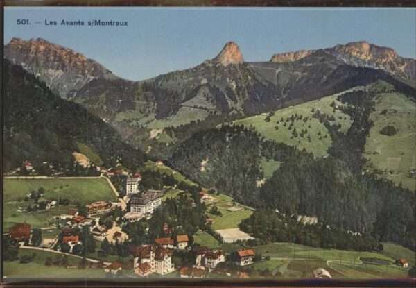 Les Avants vue generale