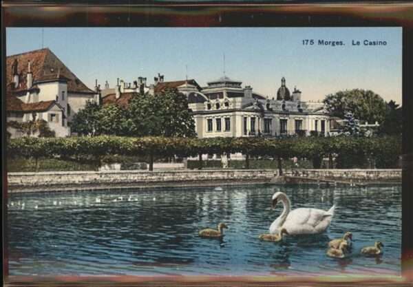 Morges Le Casino Lac Leman Schwäne