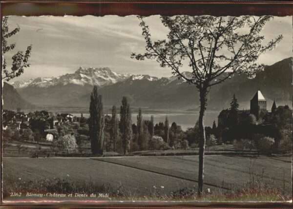 Blonay Chateau Dents du Midi Wallis Lac Leman
