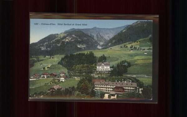 Chateau-d Oex Hotels Berthod Grand Hotel Waadtländer
