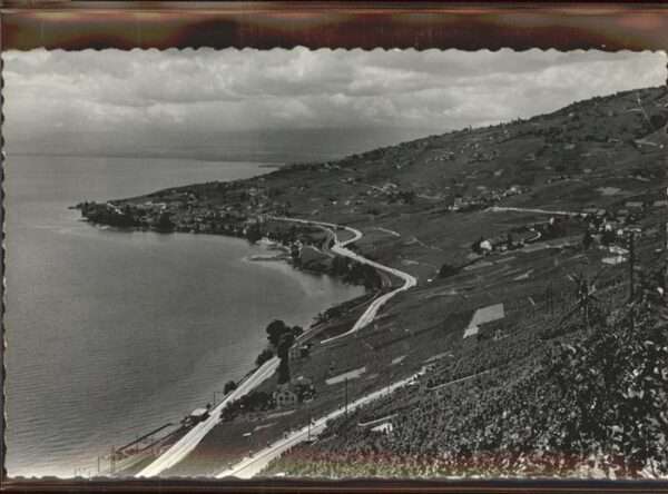 Lavaux VD Panorama Lac Leman Rebhang