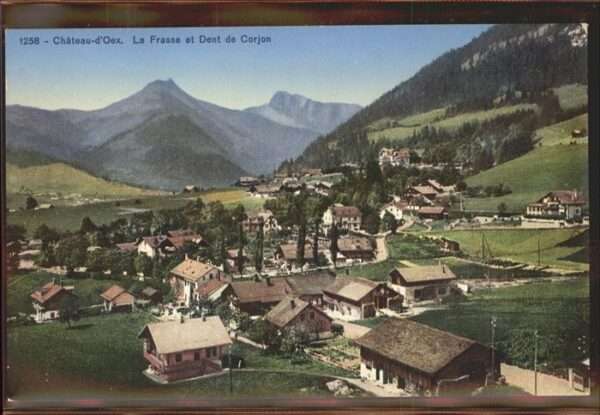 Chateau-d Oex Panorama La Frasse et Dent de Corjon Wa
