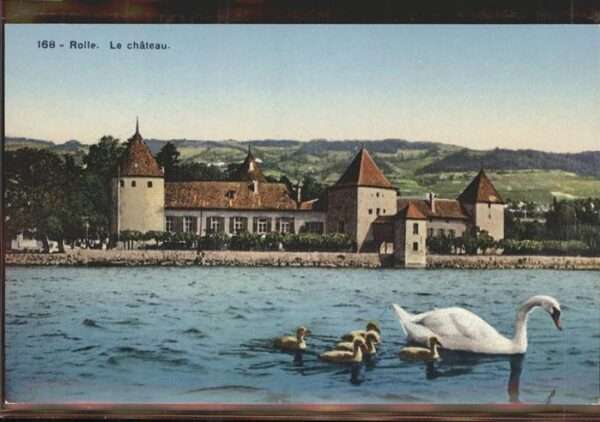 Rolle VD Genfer See Schwäne Chateau du Rosey