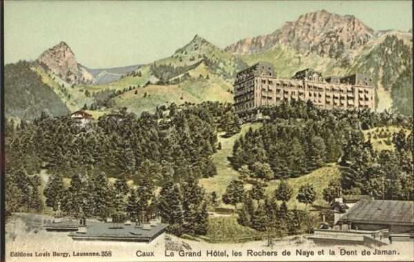 Caux VD Grand Hotel les Rochers de Naye et la D