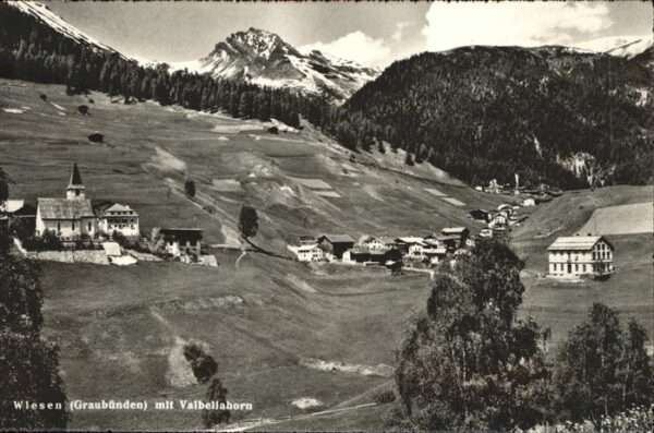 Wiesen Albula Panorama mit Valbellahorn Graubünden