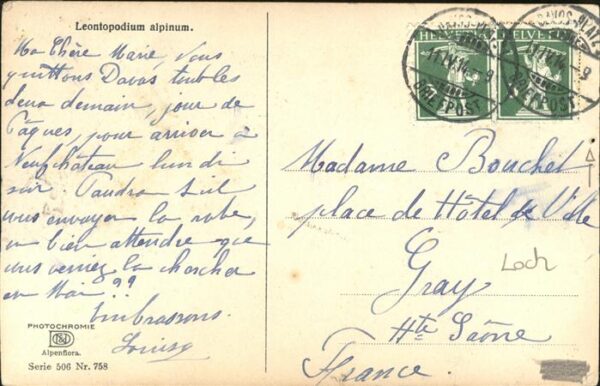 Verlag Photochromie Nr. 758 Leontopodium alpinum – Bild 2