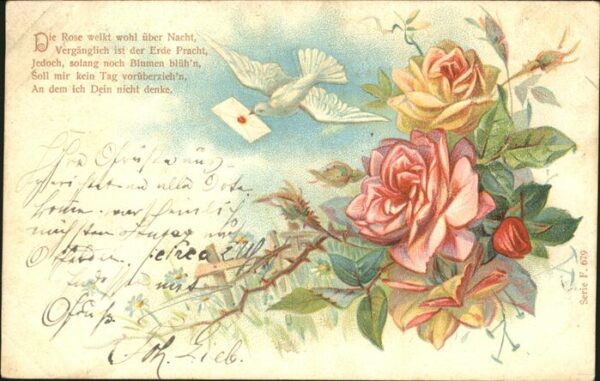 Tauben Rosen Brief Gedicht