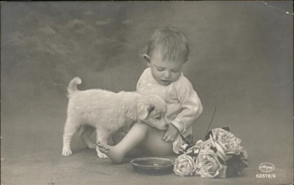 Hunde Kind Rosen