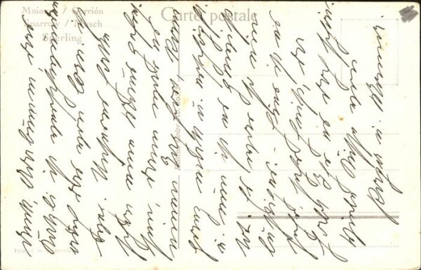 Voegel Sperling Gorrion Sparrow – Bild 2