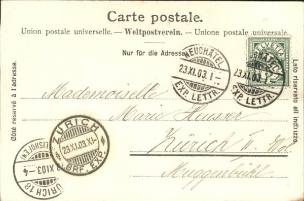 Voegel Neuchatel – Bild 2
