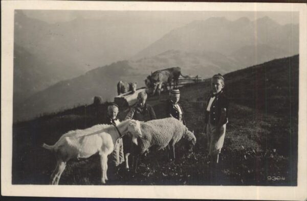 Ziege Kinder Lauterbrunnen