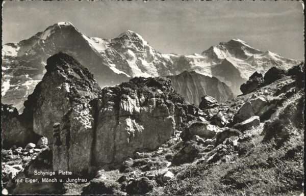 Schynige Platte mit Eiger Mönch Jungfrau