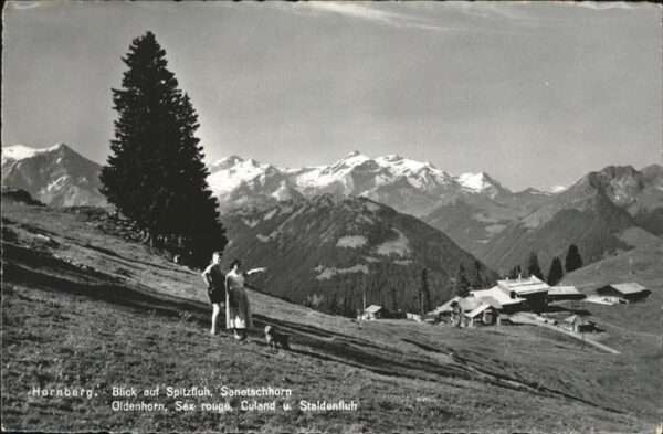 Hornberg Saanenmoeser Blick auf Spitzfluh Sanetschhorn Oldenh