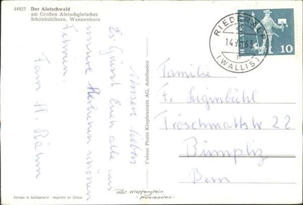 Riederalp Der Aletschwald am Grossen Aletschglets – Bild 2