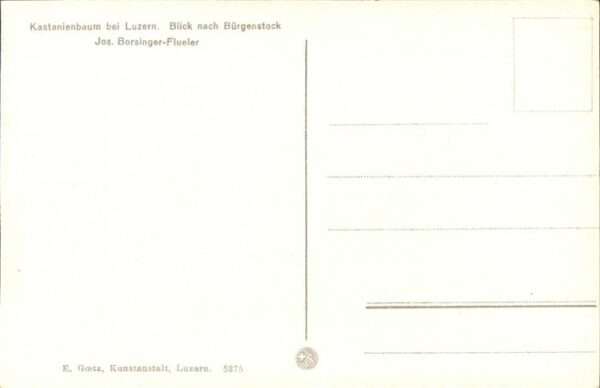 Luzern LU Kastanienbaum am Seeufer Blick nach Bür – Bild 2