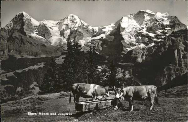 Grindelwald Eiger Mönch und Jungfrau Berner Alpen A