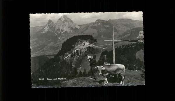 Stoos SZ Panorama mit Mythen Gipfelkreuz Kuh Bet
