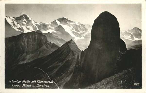Schynige Platte Panorama mit Gummihorn Eiger Mönch und