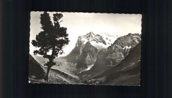 Grindelwald Kleine Scheidegg Landschaff mit Wetterh