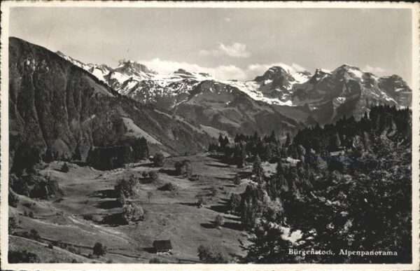 Buergenstock Alpenpanorama