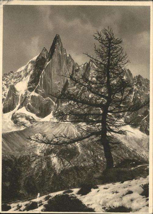 Chamonix Aiguille du Dru